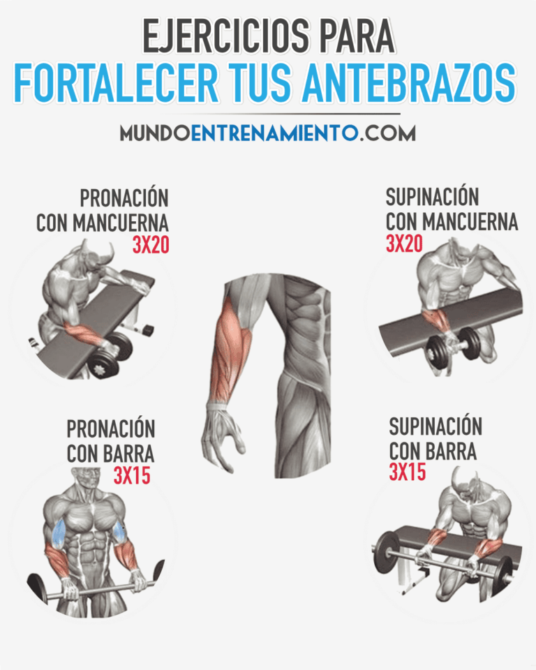 Imagen relacionada con Ejercitar Antebrazo