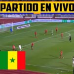 Imagen relacionada con Ver Marruecos-senegal