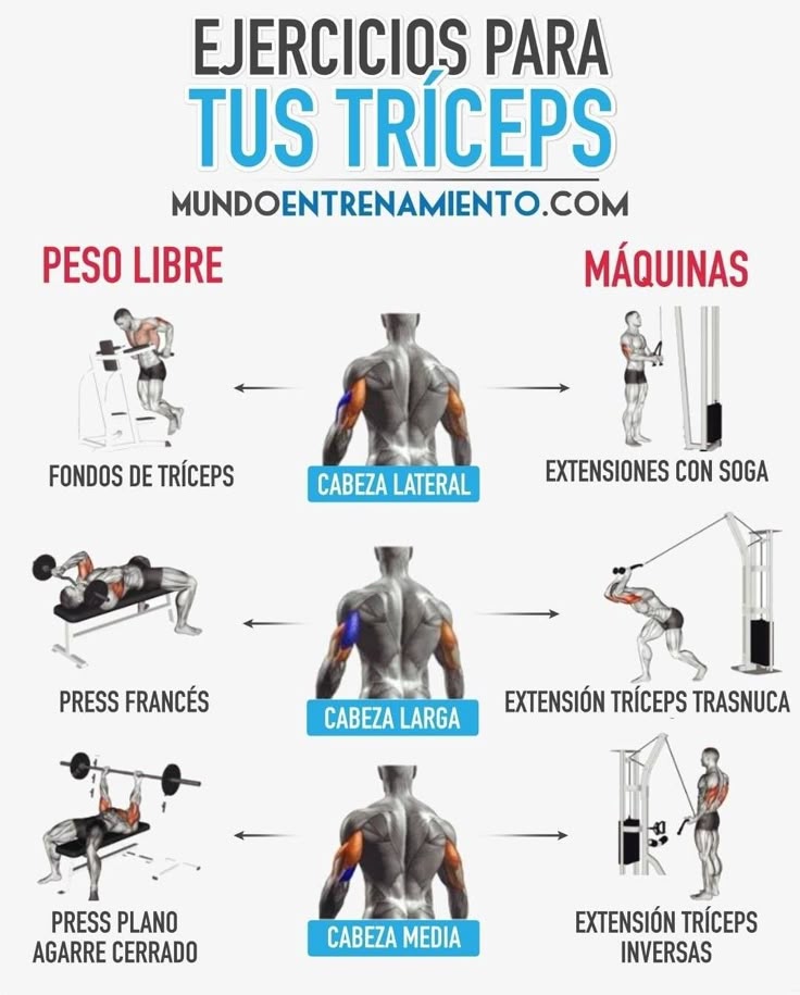 Imagen relacionada con Rutina De Tríceps