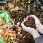 Imagen relacionada con Compost